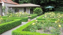 The Elms rose garden and cottage